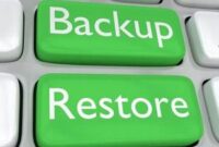 Restore Data