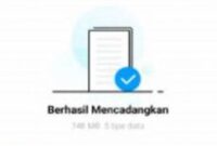 Cara Mengembalikan Data Setelah Reset Hp