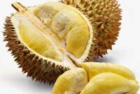 Khasiat Buah Durian untuk Kesehatan