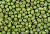 Manfaat Kacang Hijau Untuk Kesehatan Tubuh