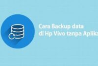 Backup Data Vivo