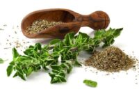 Obat Herbal Diabetes