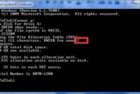Cara Hapus Virus Flashdisk Secara Permanen