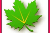 aplikasi greenify