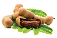asam jawa obat batuk