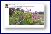 fitur view world picsart