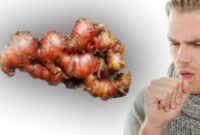 Cara Mengobati Batuk dengan 4 Bahan Alami