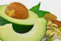 lemak nabati