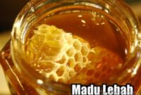 madu asli