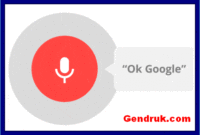 penyempurnaan fitur ok google