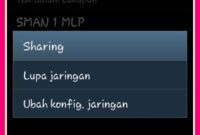 sharing jaringan wi-fi